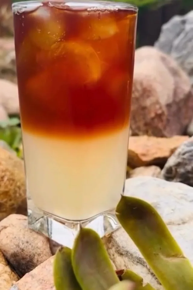 Honey bush tea lemonade outdoors on the rocks