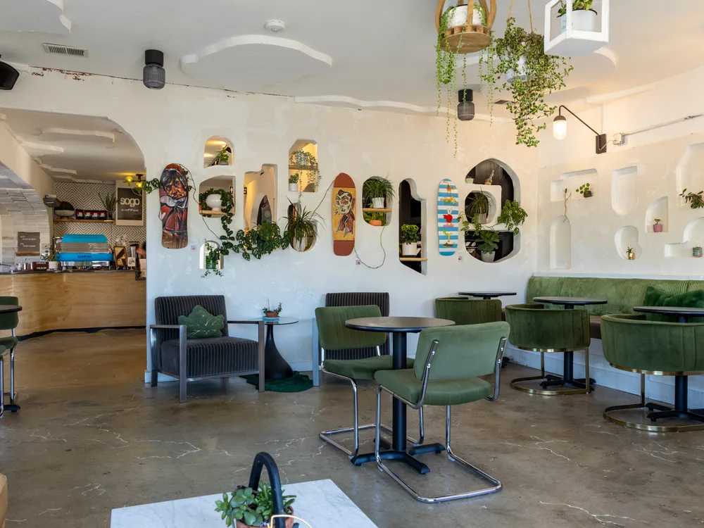 The room end to end, looking toward the espresso bar, with painted skate decks and plants along the plaster wall